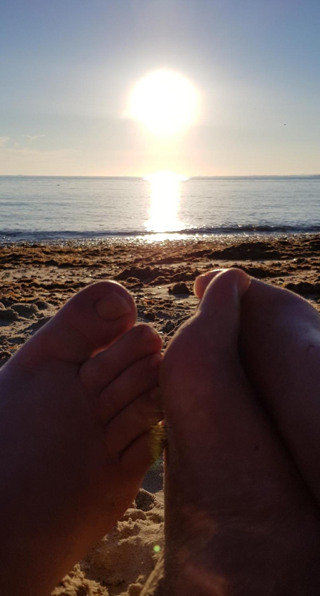 Cwtch, White Horse, Seal Bay Resort سيلسيه المظهر الخارجي الصورة